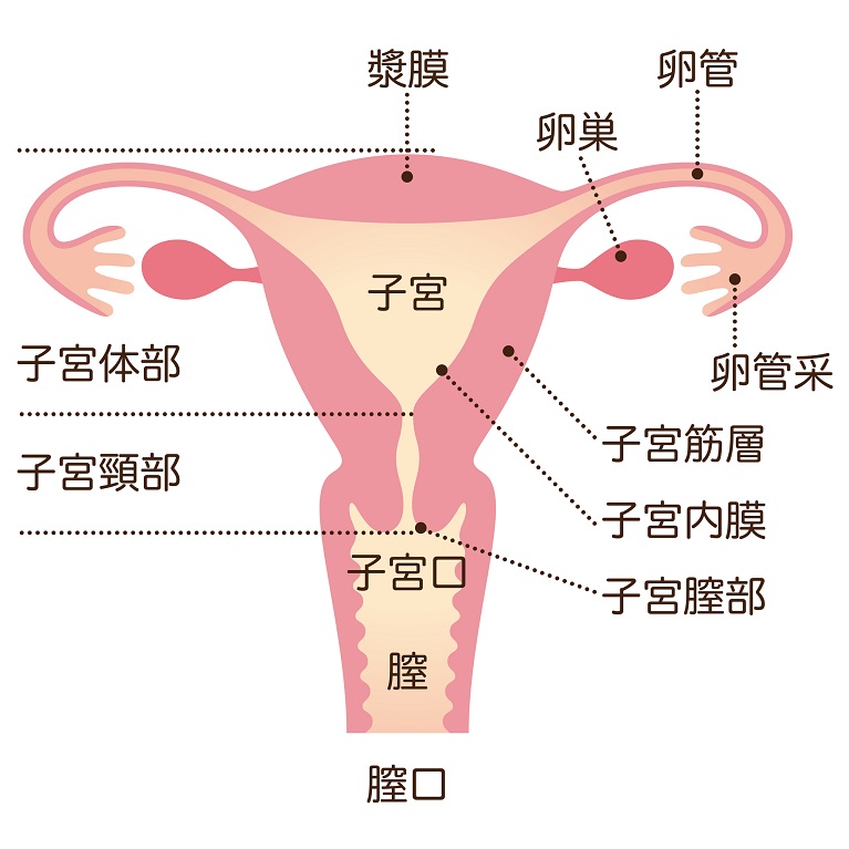 子宮内膜症